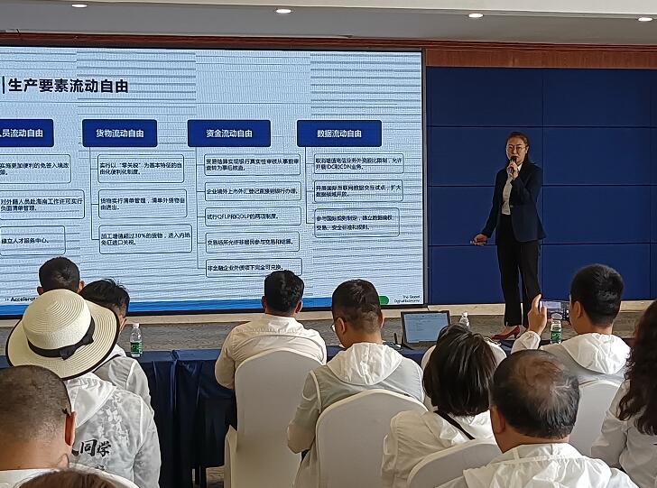 808钱包资产 808钱包资产