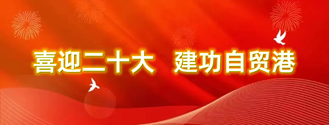 808钱包资产 808钱包资产