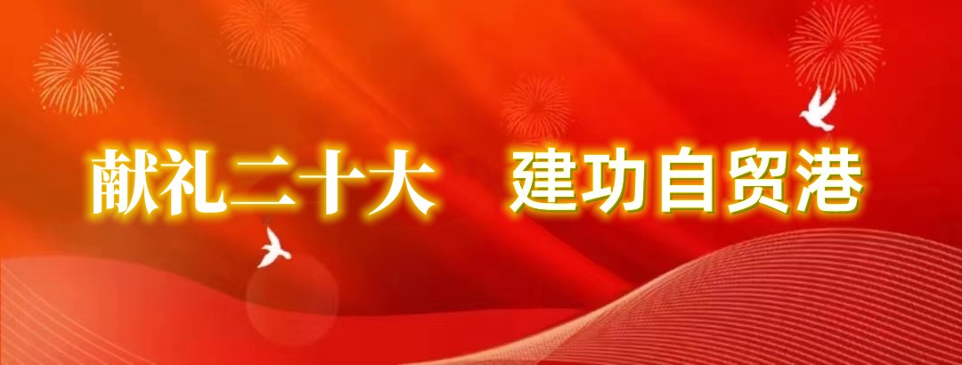 808钱包资产 808钱包资产