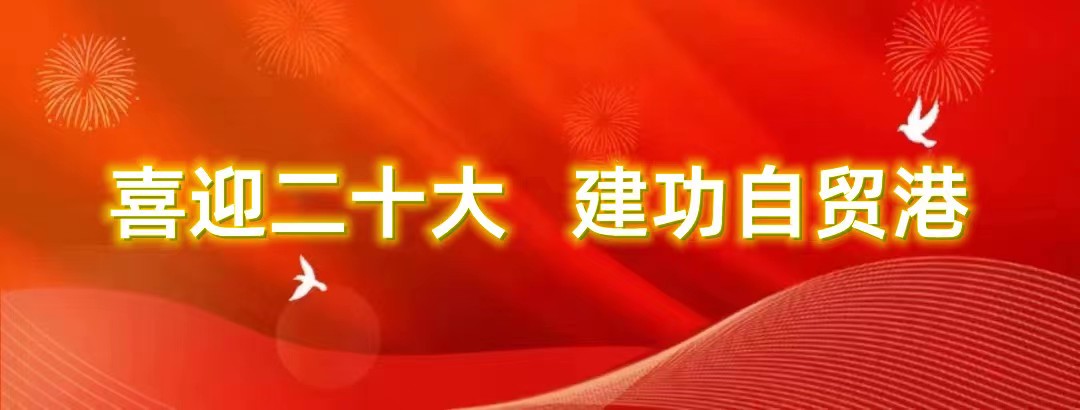 808钱包资产