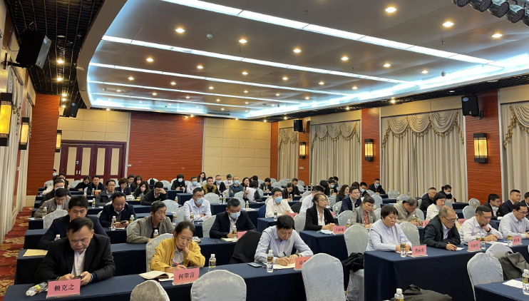 808钱包资产 808钱包资产