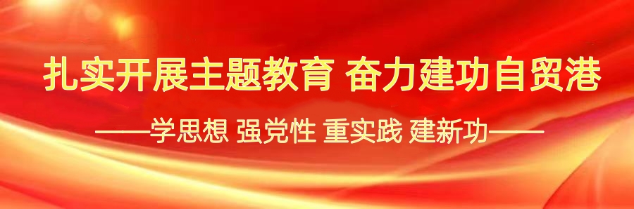 808钱包资产 808钱包资产